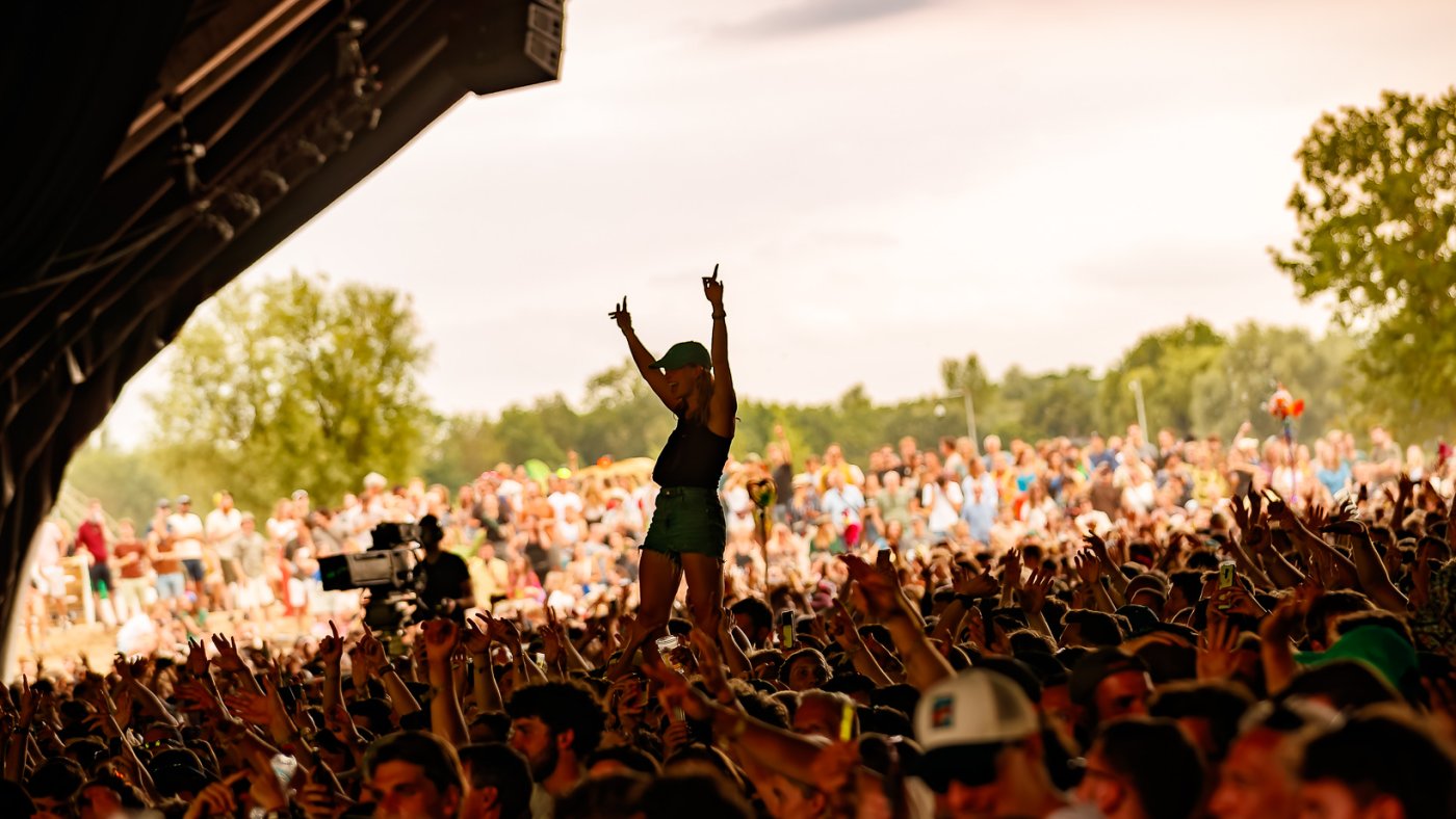 English - Down The Rabbit Hole