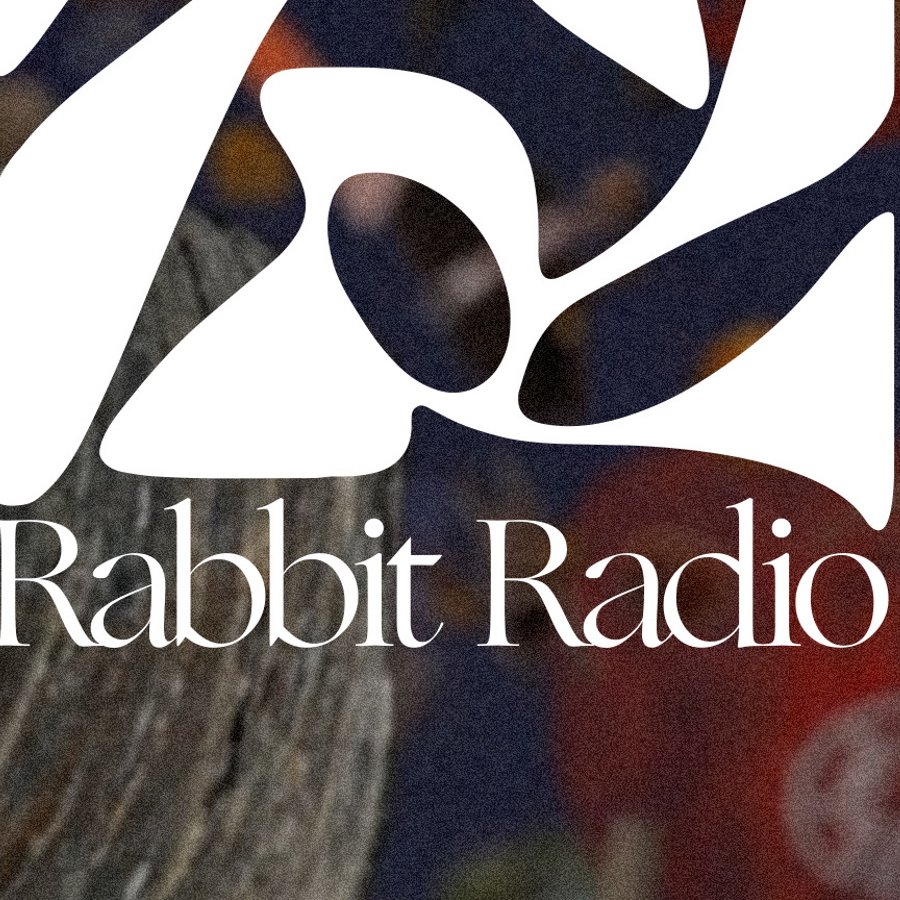 Down The Rabbit Hole