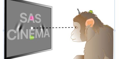 Short Attention Span Cinema