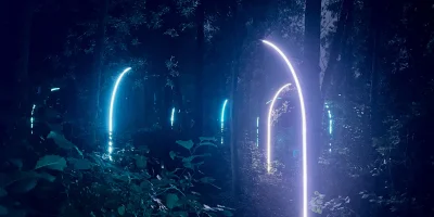 Jaap van den Elzen - Hyper___Nature 2.0